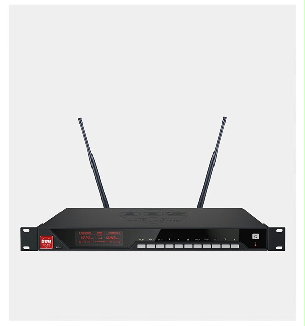 BBS娱乐话筒 HP-1 一拖二无线话筒 无线麦克风 真分集话筒 舞台演出会议婚庆主持2