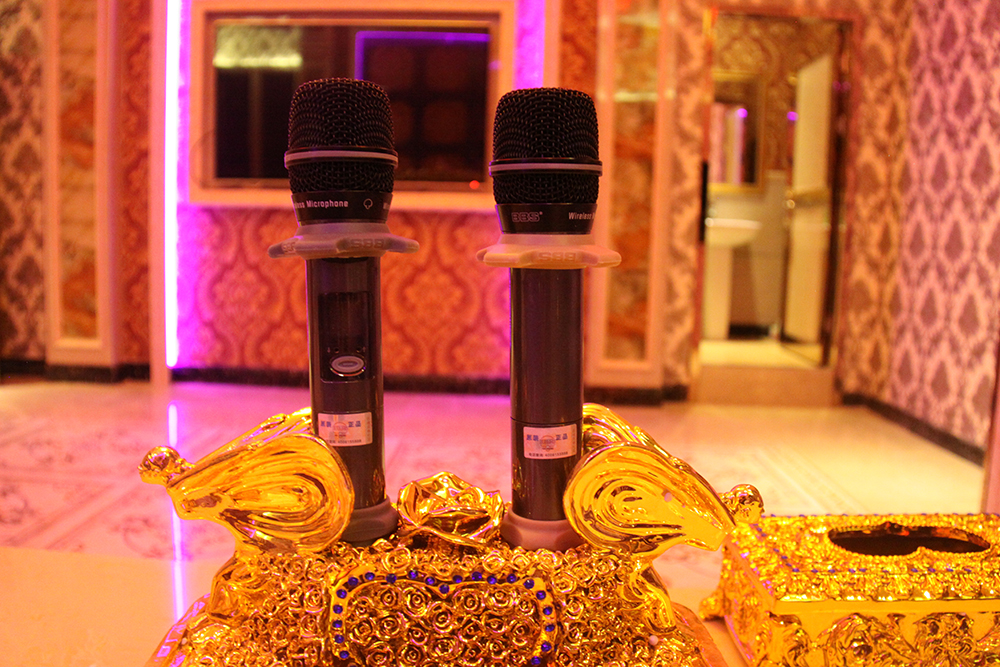 真分集话筒和非真分集话筒：一场声音清晰度的较量