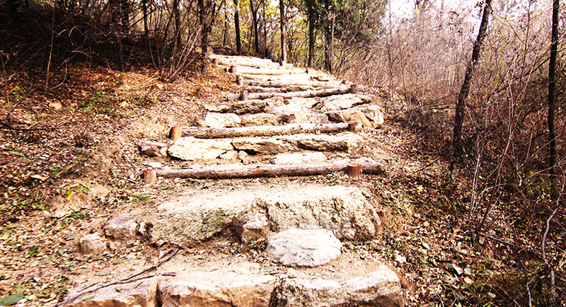 以爱之名，贴地疾行