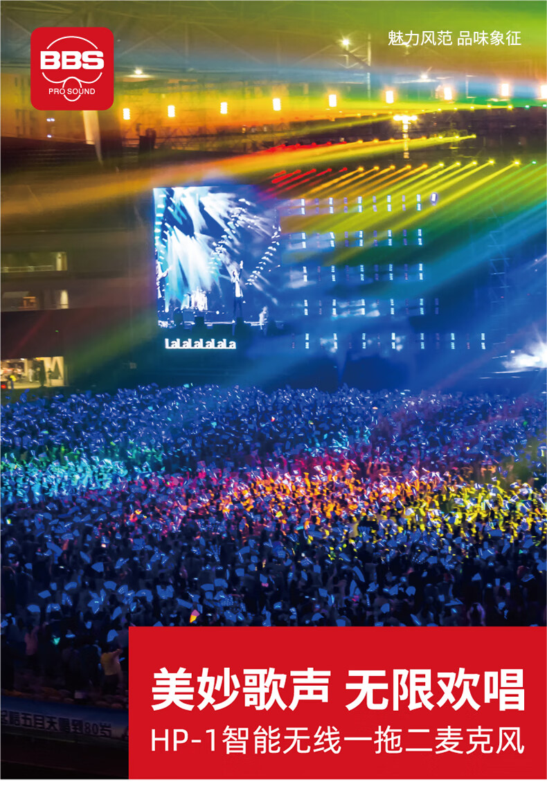 BBS娱乐话筒 HP-1 一拖二无线话筒 无线麦克风 真分集话筒 舞台演出会议婚庆主持
